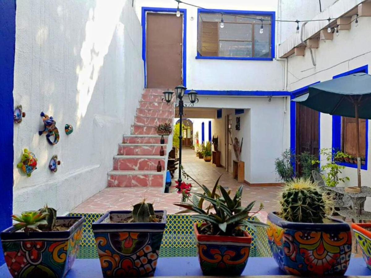 Ikali Hostel Monterrey Dış mekan fotoğraf